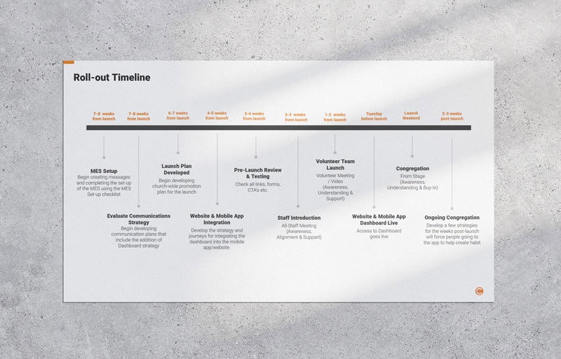 Program Rollout Timeline