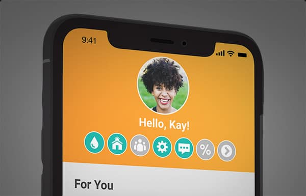 Next Steps Badge Library